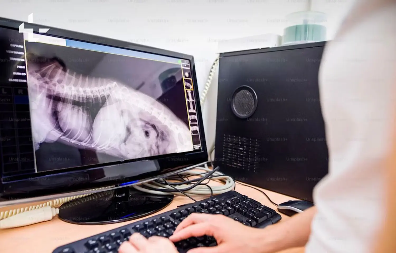 Tierarzt Bückeburg, Tierarztpraxis Röcke , Nordring , Diagnostik , Zahnmedizin, Tierarzt Bückeburg Röcke , Innere Medizin, Vorsorge, Radiologie